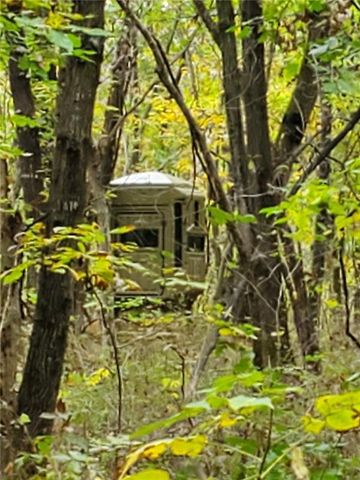 1059 SW 1301 Road, Holden, MO 64040