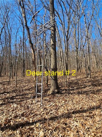 1059 SW 1301 Road, Holden, MO 64040