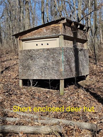 1059 SW 1301 Road, Holden, MO 64040