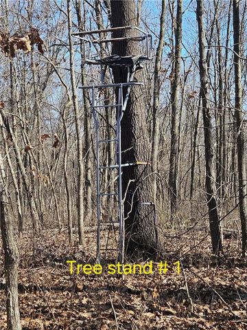 1059 SW 1301 Road, Holden, MO 64040