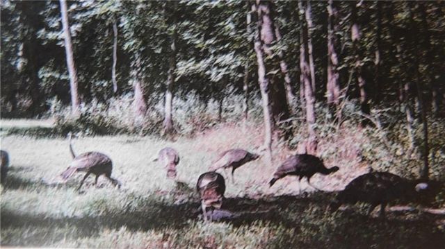 1059 SW 1301 Road, Holden, MO 64040