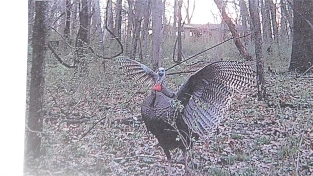 1059 SW 1301 Road, Holden, MO 64040