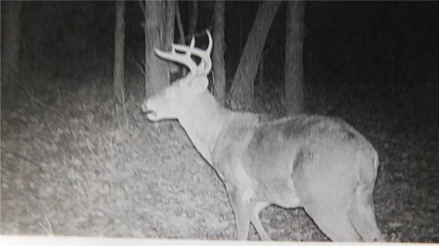 1059 SW 1301 Road, Holden, MO 64040