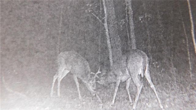 1059 SW 1301 Road, Holden, MO 64040