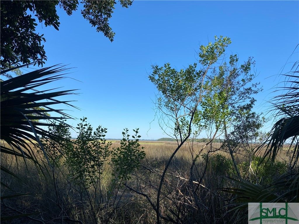 Image 1 of property listing at 363 Coffee Bluff Villa Road, Savannah, GA 31419
