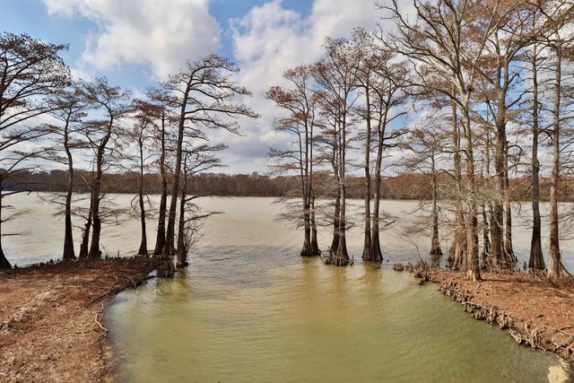 103 CHISHOLM LAKE RD, Ripley, TN 38063