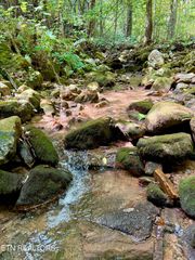 Lot 154 Summit Trails Drive, Sevierville, TN 37862