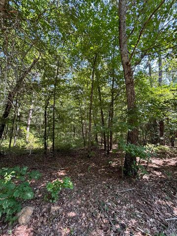 Lot 25 Wood Lane, Clinton, AR 72031