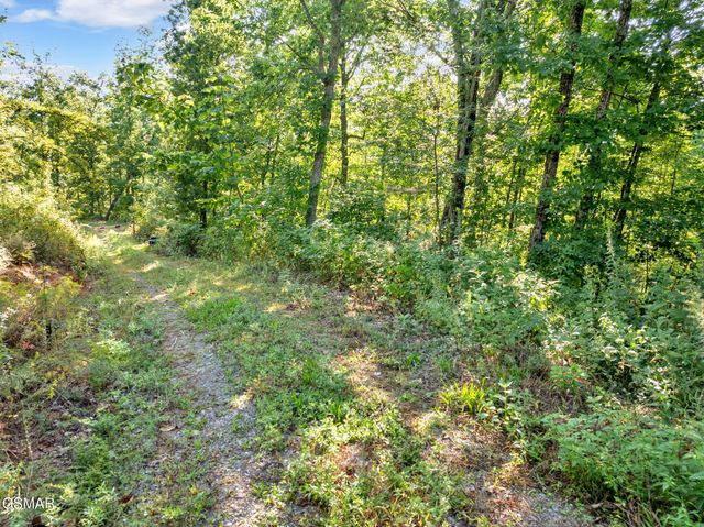 Lot Tr-1 Shell Mountain Road, Sevierville, TN 37876