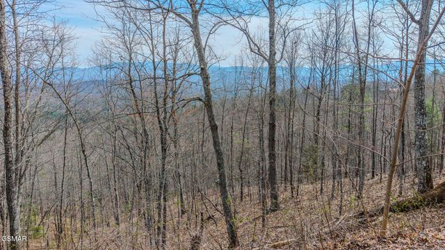 Lot Tr-1 Shell Mountain Road, Sevierville, TN 37876