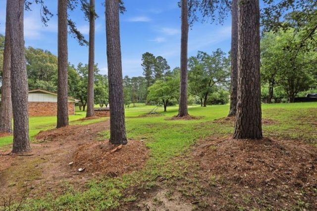 100 County Road 1123, Daingerfield, TX 75638