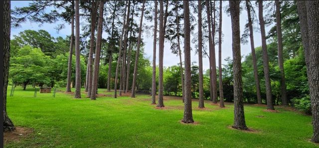 100 County Road 1123, Daingerfield, TX 75638