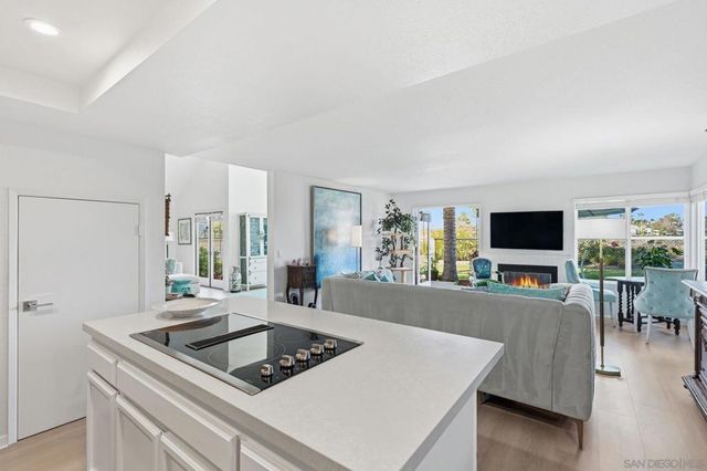 3626 Lorimer Ln, Encinitas, CA 92024