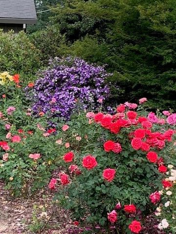 3710 Orchard Ln, Sacramento, CA 95821