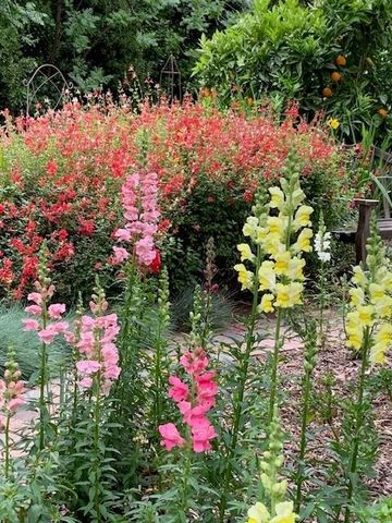 3710 Orchard Ln, Sacramento, CA 95821