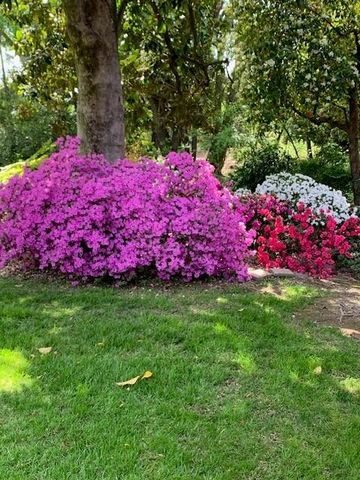 3710 Orchard Ln, Sacramento, CA 95821