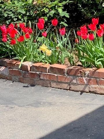 3710 Orchard Ln, Sacramento, CA 95821