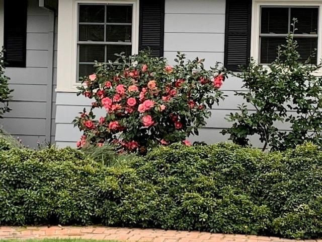 3710 Orchard Ln, Sacramento, CA 95821