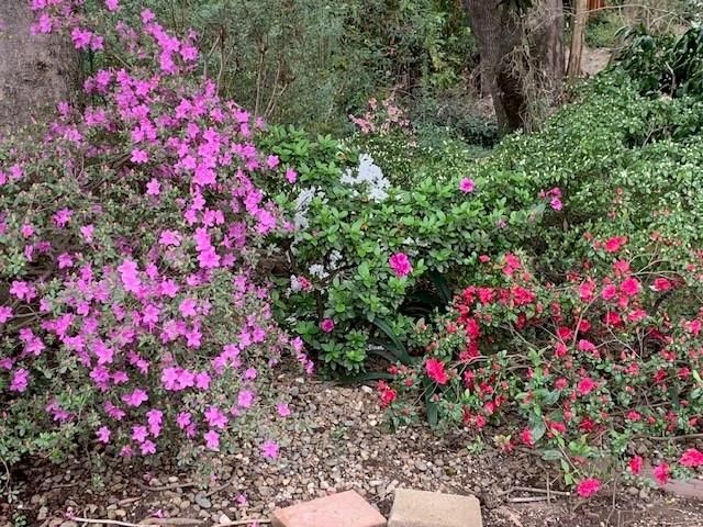 3710 Orchard Ln, Sacramento, CA 95821