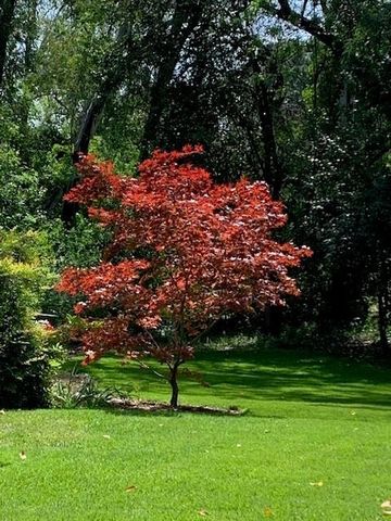 3710 Orchard Ln, Sacramento, CA 95821