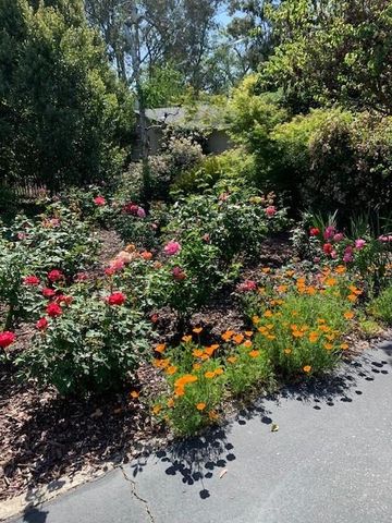 3710 Orchard Ln, Sacramento, CA 95821