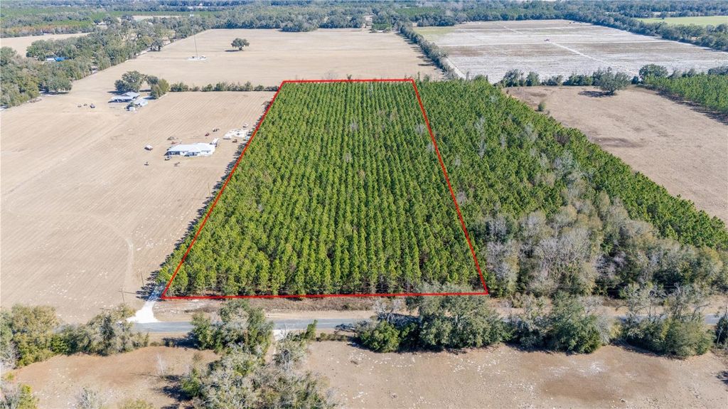 Image 2 of property listing at NW 10TH AVENUE, Trenton, FL 32693