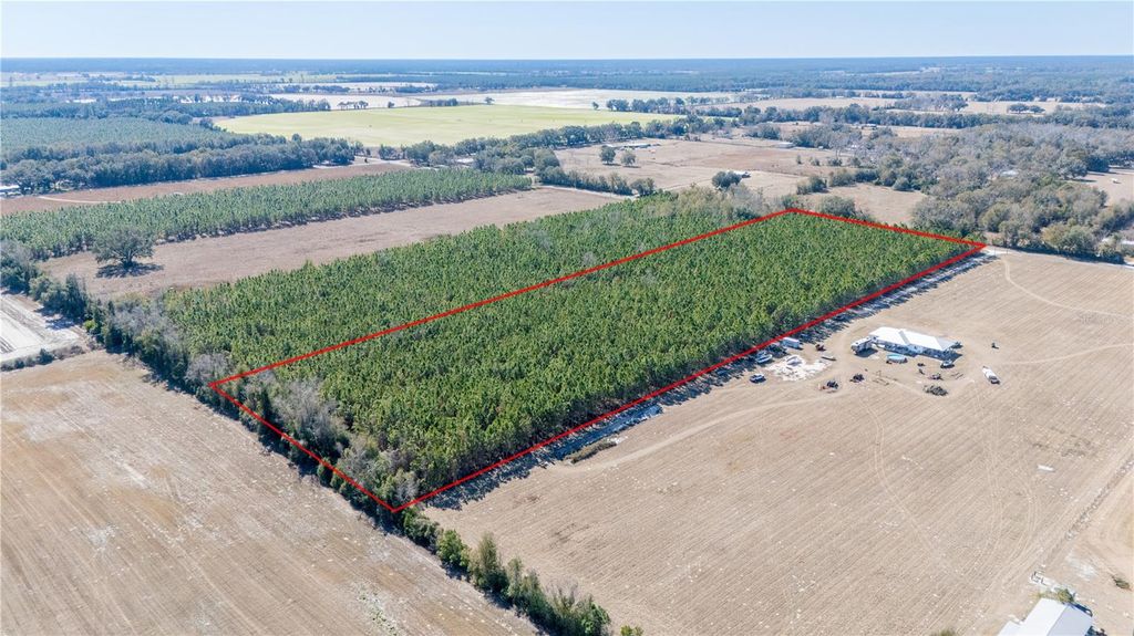 Image 11 of property listing at NW 10TH AVENUE, Trenton, FL 32693