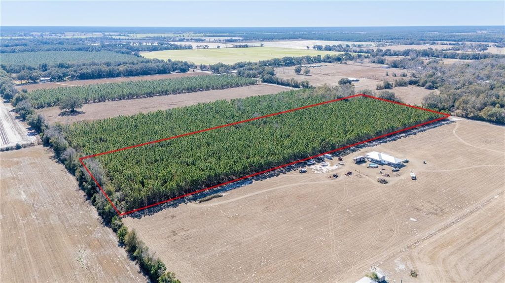 Image 12 of property listing at NW 10TH AVENUE, Trenton, FL 32693