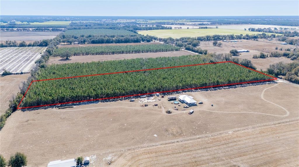 Image 13 of property listing at NW 10TH AVENUE, Trenton, FL 32693