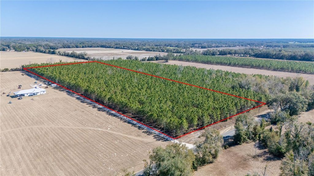 Image 14 of property listing at NW 10TH AVENUE, Trenton, FL 32693