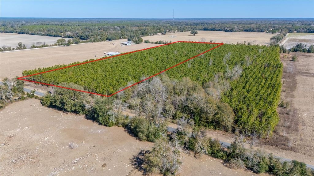 Image 16 of property listing at NW 10TH AVENUE, Trenton, FL 32693