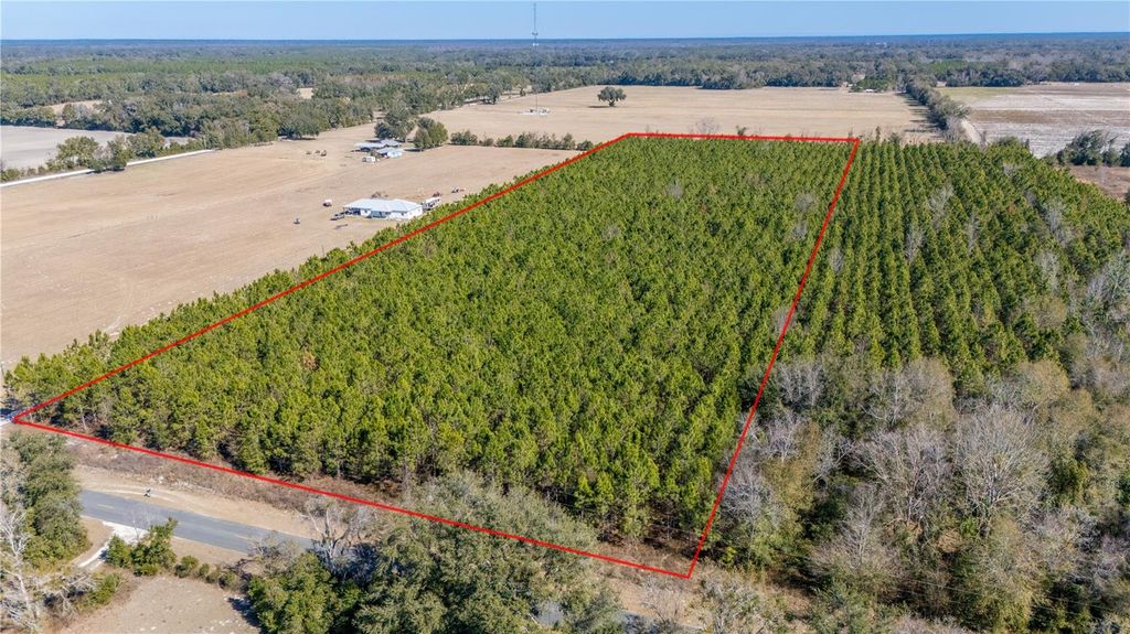 Image 18 of property listing at NW 10TH AVENUE, Trenton, FL 32693