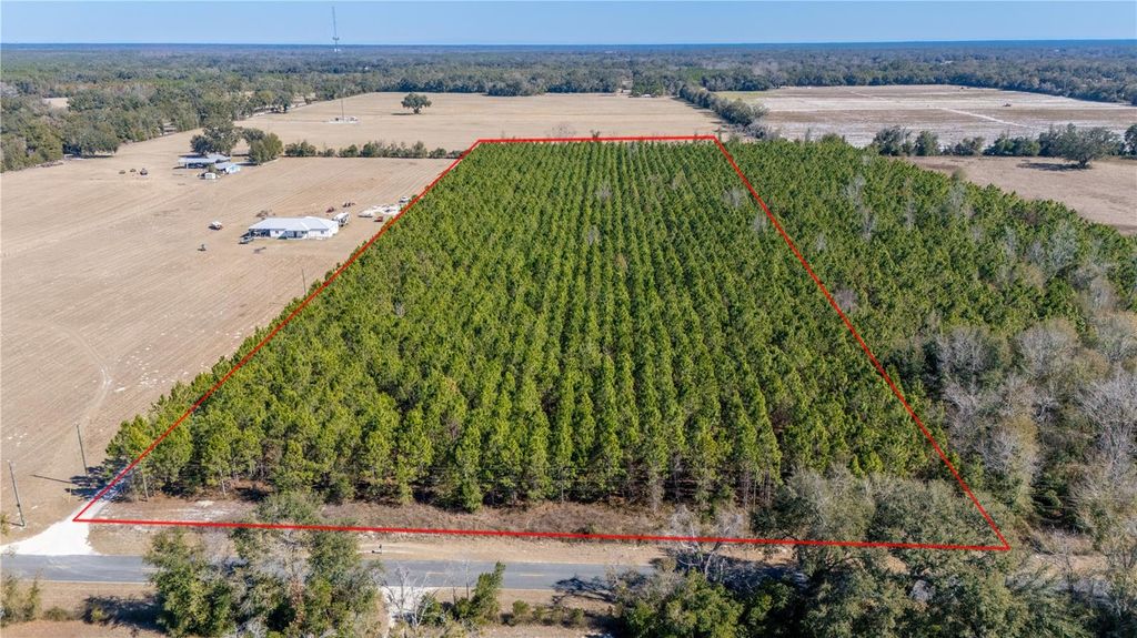 Image 19 of property listing at NW 10TH AVENUE, Trenton, FL 32693