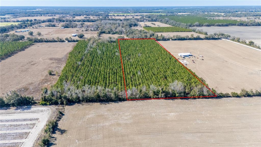 Image 7 of property listing at NW 10TH AVENUE, Trenton, FL 32693