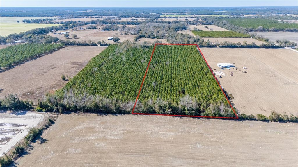 Image 8 of property listing at NW 10TH AVENUE, Trenton, FL 32693