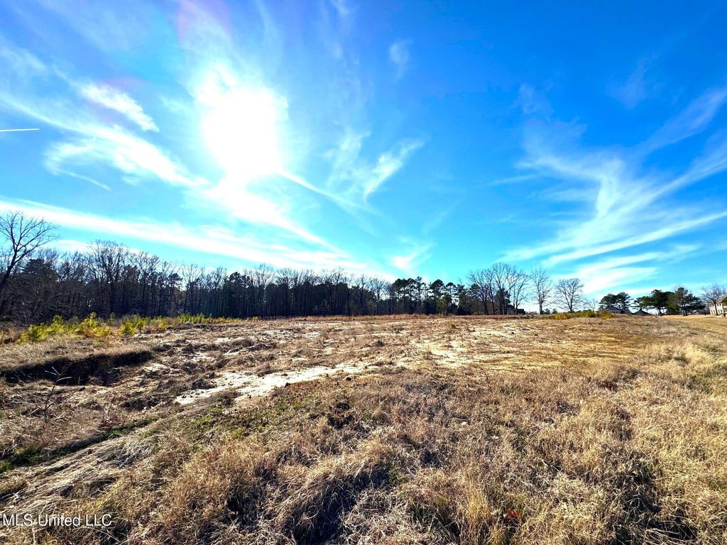 2939 Cyrene Drive, Hernando, MS 38632 — exterior