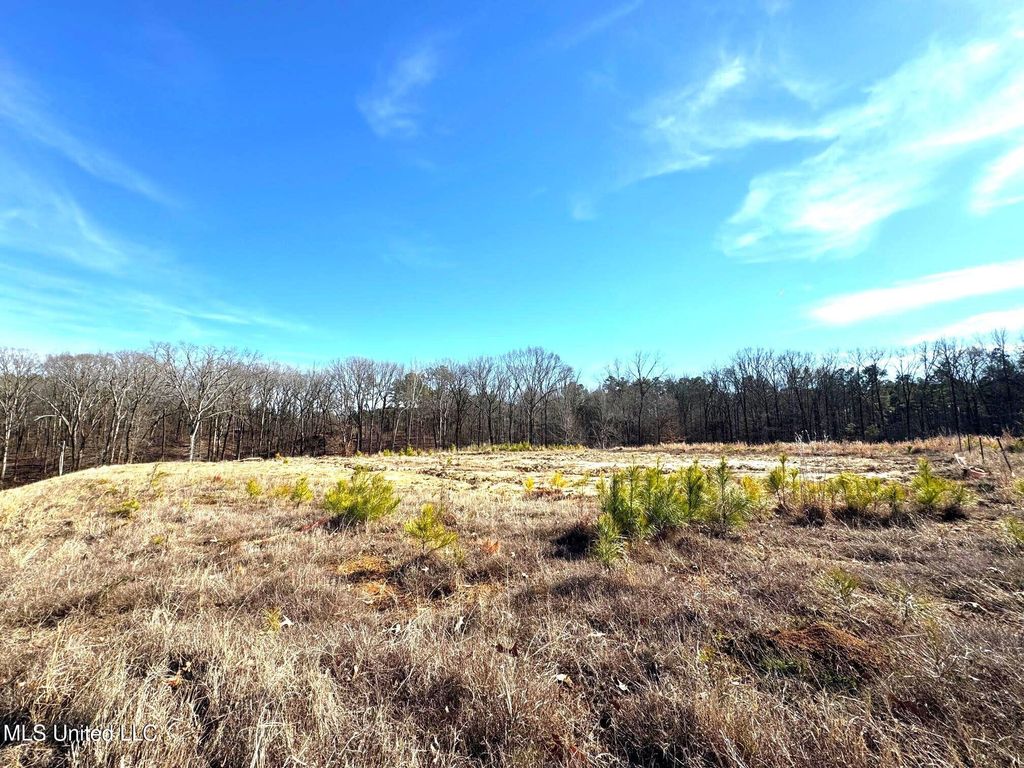 2939 Cyrene Drive, Hernando, MS 38632 — photo 3