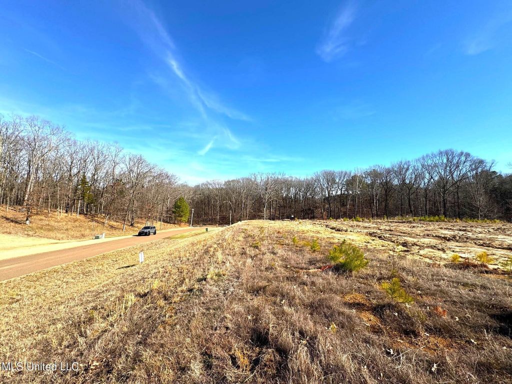 2939 Cyrene Drive, Hernando, MS 38632 — photo 4