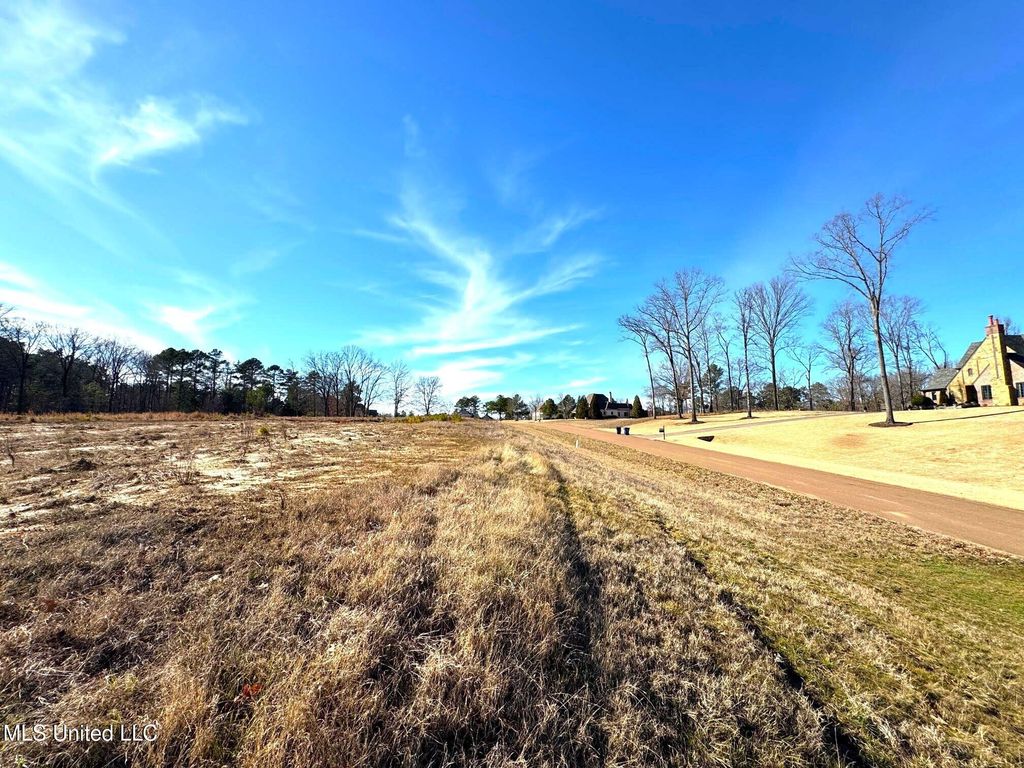 2939 Cyrene Drive, Hernando, MS 38632 — photo 5