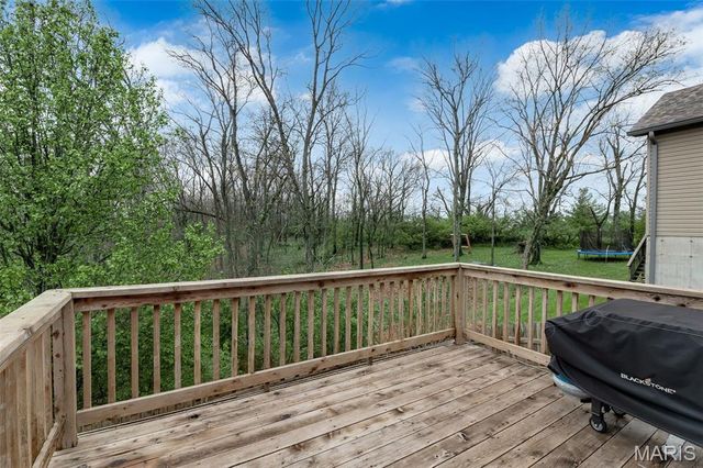 1040 Stonewick Court, Herculaneum, MO 63048