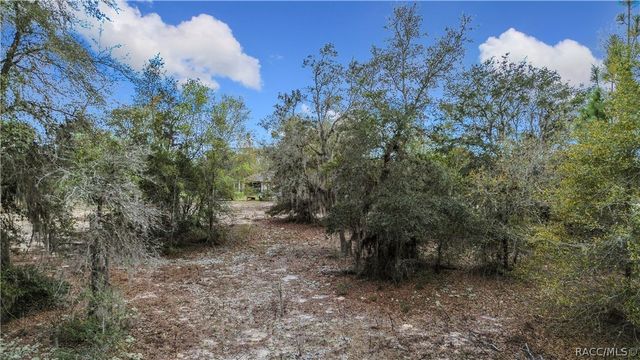 11893 N Pan-An Terrace, Dunnellon, FL 34433