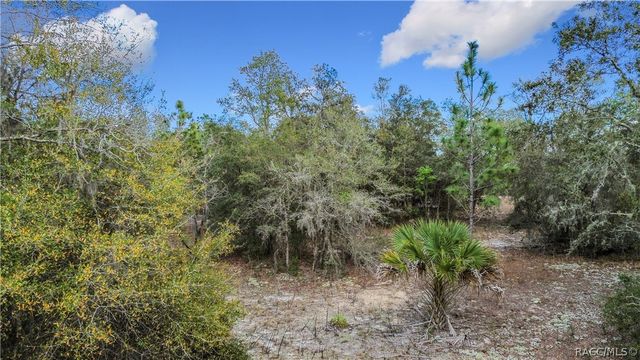 11893 N Pan-An Terrace, Dunnellon, FL 34433