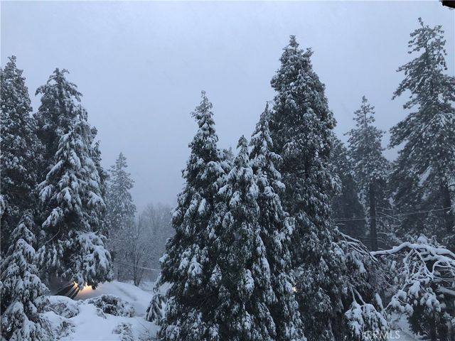 508 Dart Canyon, Crestline, CA 92325