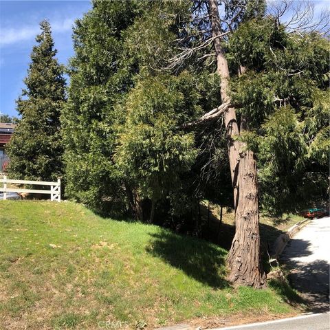 508 Dart Canyon, Crestline, CA 92325