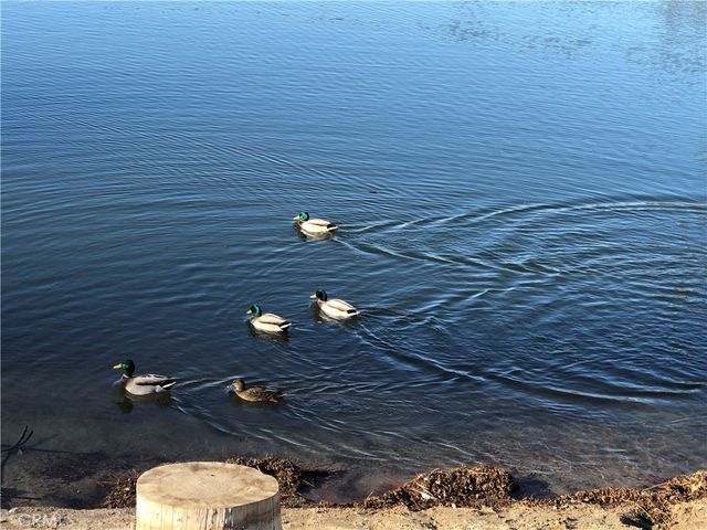 508 Dart Canyon, Crestline, CA 92325