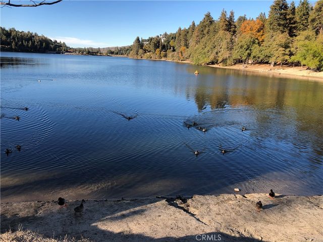 508 Dart Canyon, Crestline, CA 92325