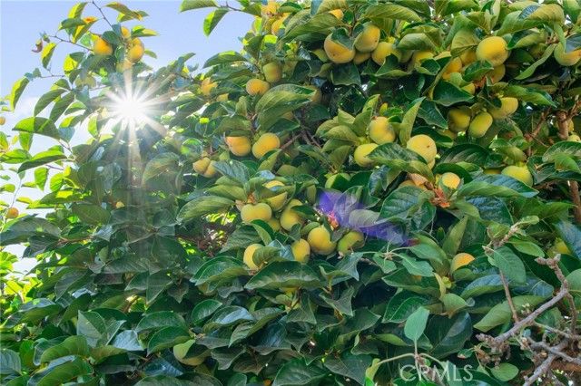 1820 Silver Lantern Drive, Hacienda Heights, CA 91745