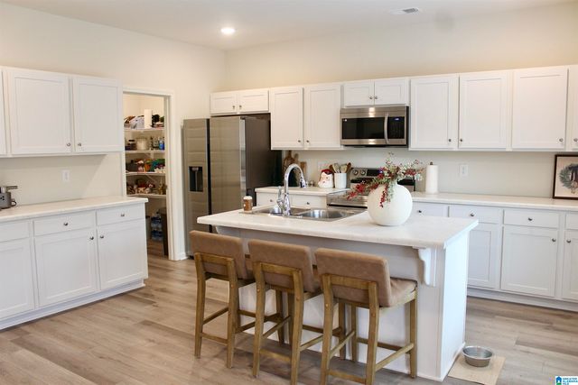 320 CAMELLIA LANE, Pell City, AL 35128