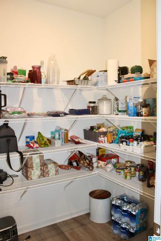 320 CAMELLIA LANE, Pell City, AL 35128