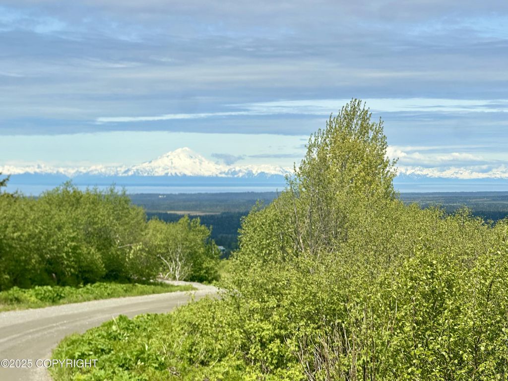 65310 Knob Hill Road, Anchor Point, AK 99556